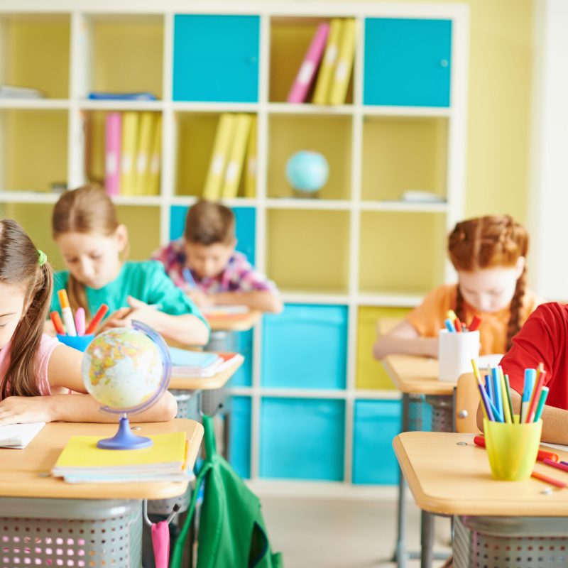 Group of schoolchildren drawing at lesson